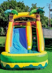 single palm trees waterslide