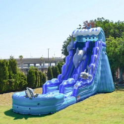 Image202 1718683161 Dolphin waterslide 20 ft