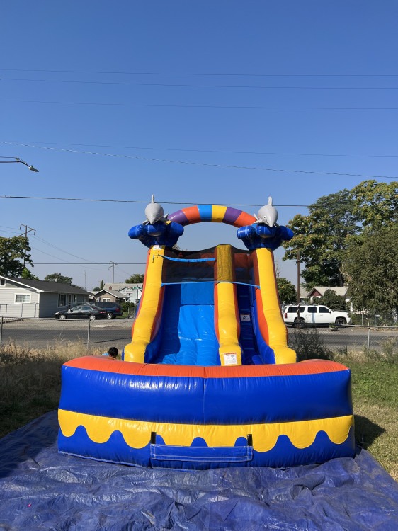 Dolphins single slide