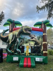 IMG 4073 1753751538 DINO JUMPER