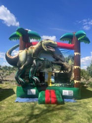 IMG 4159 1753751536 DINO JUMPER