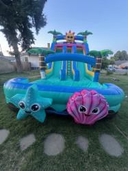 IMG 5839 1753739048 Island Blast