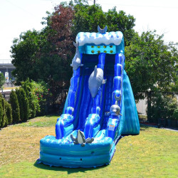 IMG 0185 1756358687 20ft Single Dolphin Waterslide