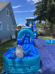 IMG 4353 1756357607 20Ft. Dolphin Waterslide & Slip n Slide