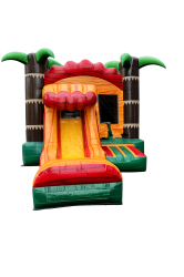 PALM TREES DRY COMBO