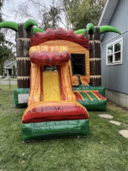 Image2020 1767590381 PALM TREES DRY COMBO